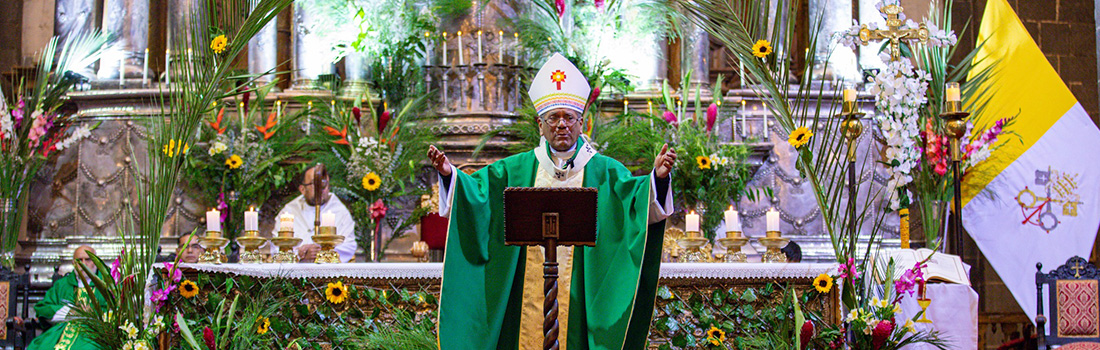 Arzobispo del Cusco celebra Solemne Santa Misa Jubilar por la Creación en la Basílica Catedral del Cusco