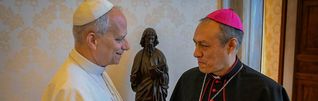 Obispo Auxiliar del Cusco participa en audiencia privada con el Papa León XIV